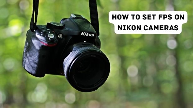 How To Set FPS On Nikon Cameras