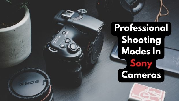 Professional Shooting Modes In Sony Cameras