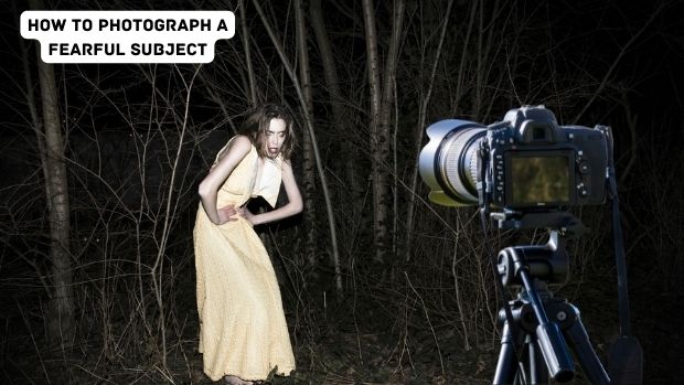 How To Set Up A Camera In Phasmophobia