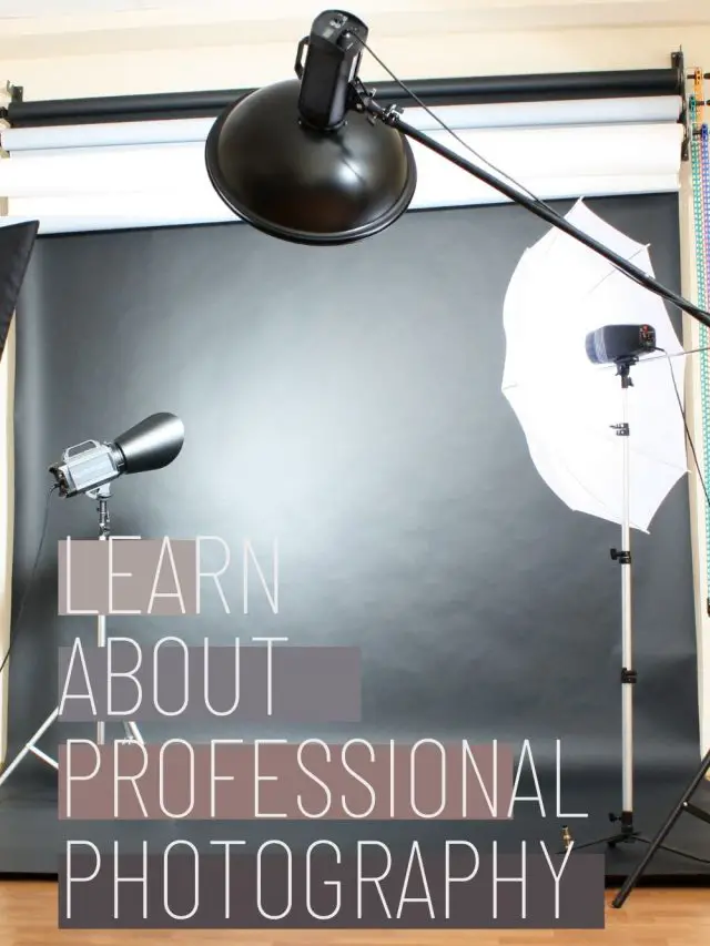 Learn professional photography from new blogs