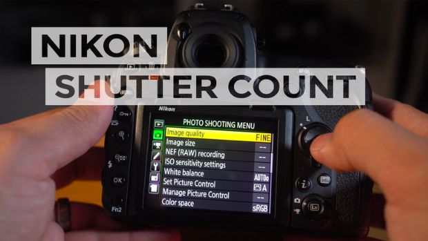 How To Find Shutter Count On Nikon D500