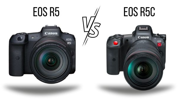  Comparison Review: Canon EOS R5 vs Canon EOS R5c