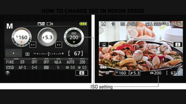 How To Change ISO In Nikon D5500